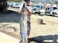 57-lb-wahoo