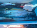 76D96682-5D10-4FD3-8414-F62EDCACBC93