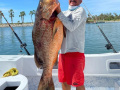 00.23_Snapper72