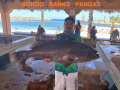 00.33_Grouper