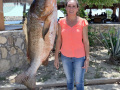 00.78_Pargo65lb