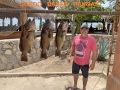 00.86_BillGrouper