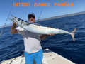 00.95_Wahoo