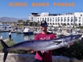 11_Wahoo