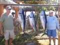 122_Bob_69Tuna