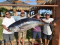 133_303lbTuna