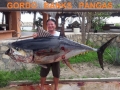 29_Chen314Tuna