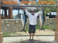 35_Fish Twins