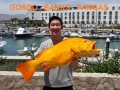 50_Golden