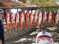 57_FowlerSnapper