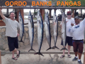 59_Wahoo