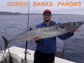 60_BrianWahoo