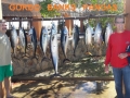 60_WahooTuna