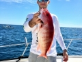 61_BrianSnapper